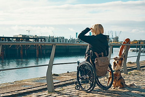 Rollstuhlfahrerin mit Hund blickt auf den Hamburger Hafen, barrierefreier Weg entlang der Hafencity.