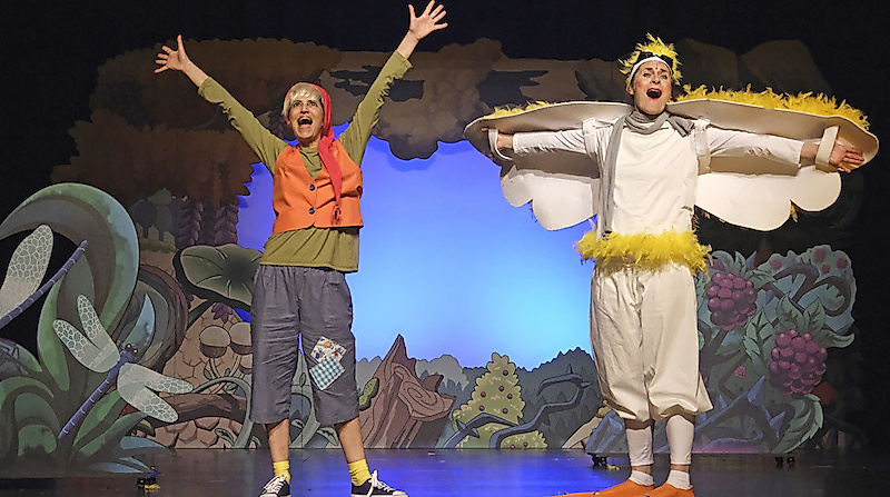 Nils Holgersson - Musicaltheater für Kinder