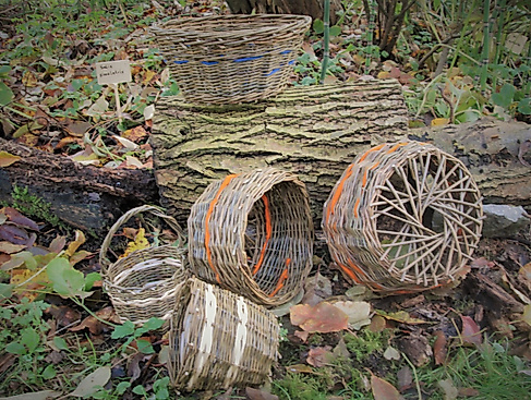 Flechtkurs - Kunstwerke aus Weiden