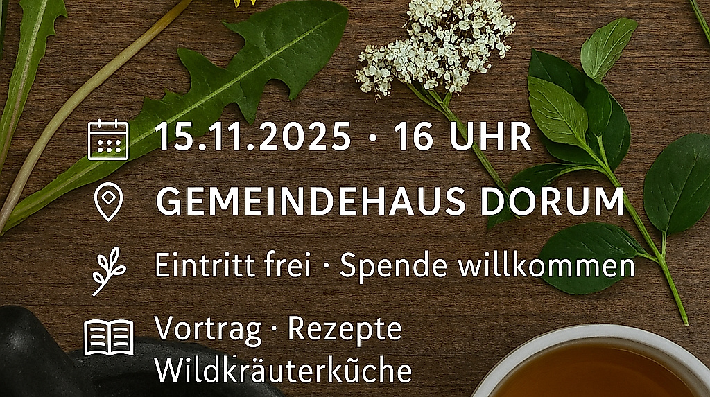 Vortrag wilde Hausapotheke