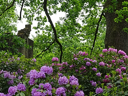 Führung Breidings Garten Soltau