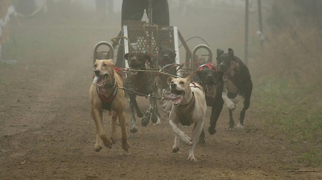 Foto von <a href="https://unsplash.com/de/@jankubi