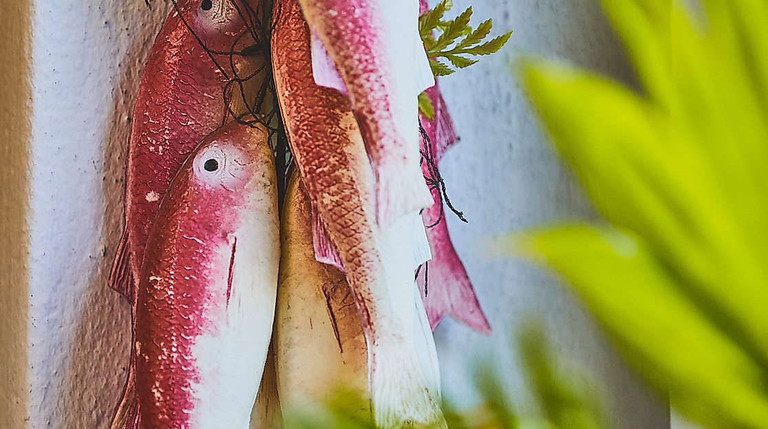 goedekens-kombuese_c-2018-thisisjulia-photography-3