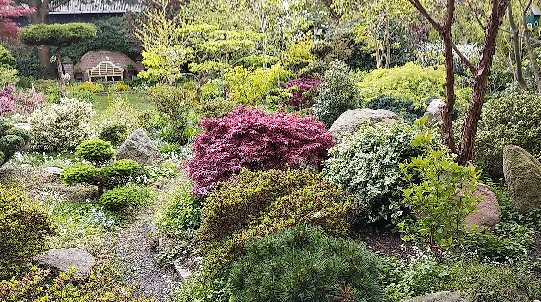 Blick in den Garten Mekelburg