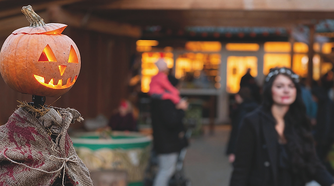 Halloween im Wingster Waldzoo