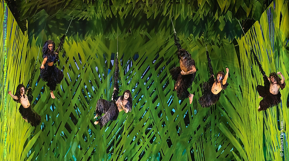 Tarzan3(c)JohanPersson