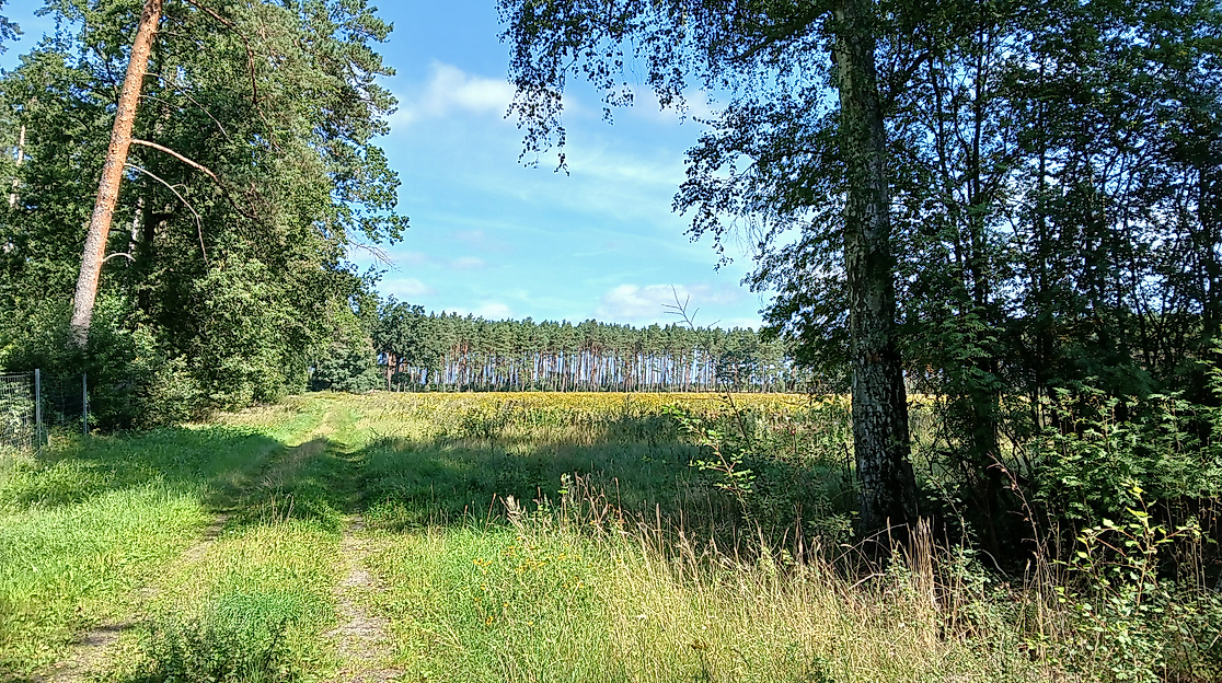 Erlebnistag Wandern des TV von 1860 Neuhaus: Durch die Wälder
