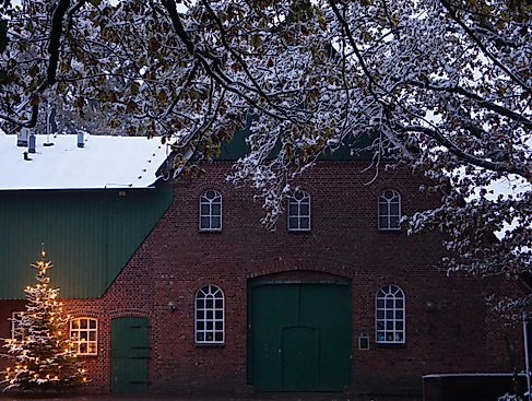 Weihnachtlicher Münsterhof