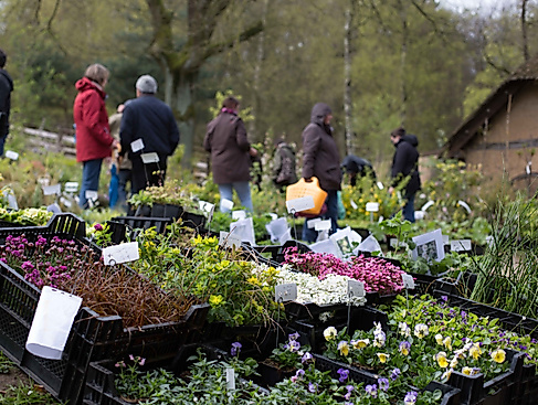 Norddeutschlands größter Pflanzenmarkt