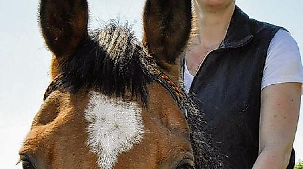 Reiten Ringreiten neutral