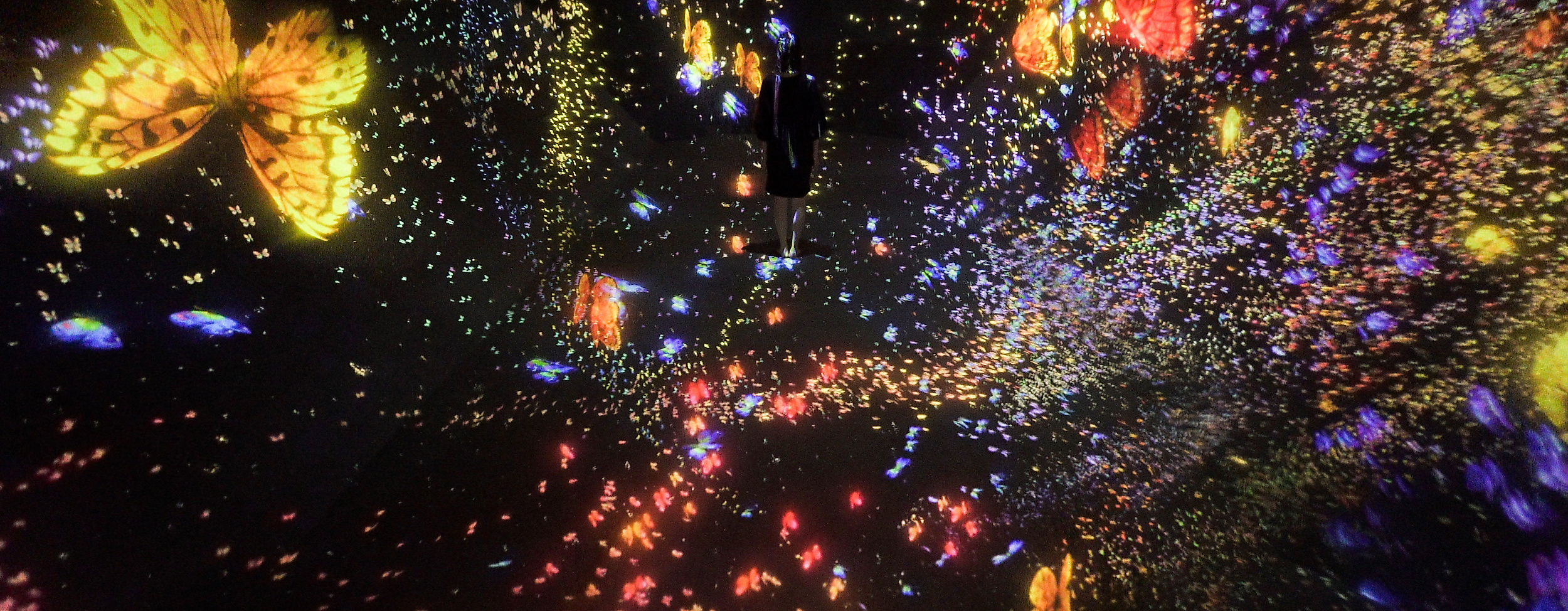 digital-art-museum_transcanding-space_teamlab