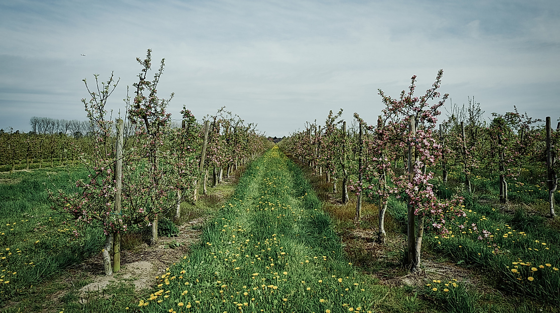 finkenwerder_hhlal_c-2017-geheimtipp-hamburg-4