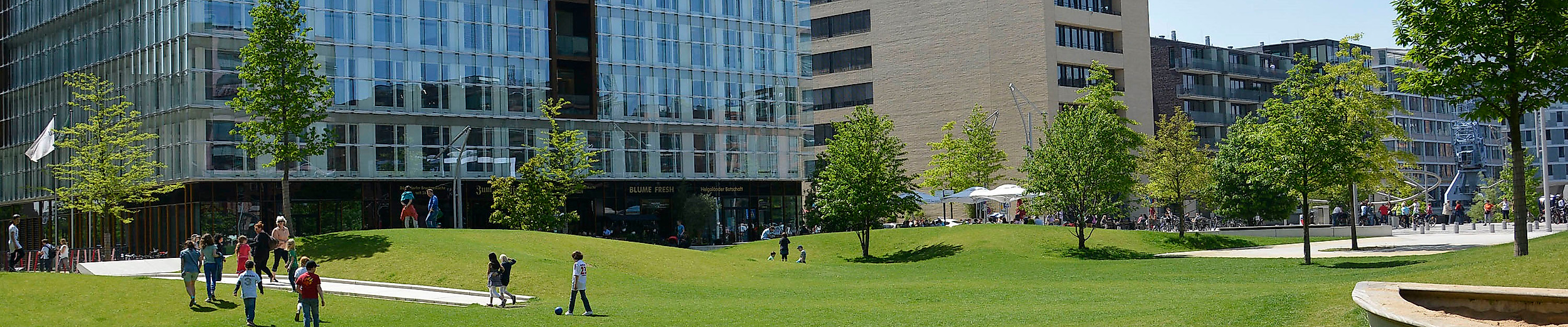 Sandtorpark in der HafenCity mit breiten Wegen, grüner Rasenfläche und moderner Architektur bei Sonnenschein.