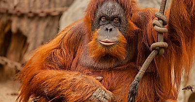 Tierpark Hagenbeck