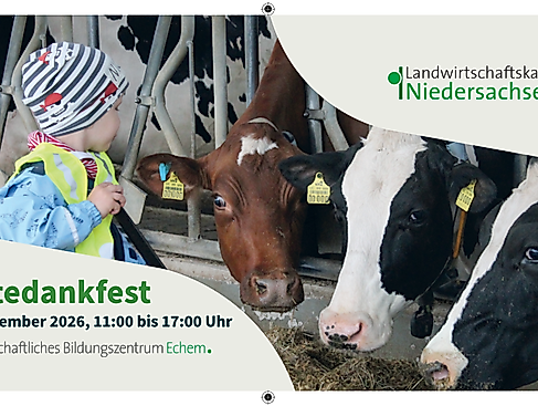 Erntedankfest Echem