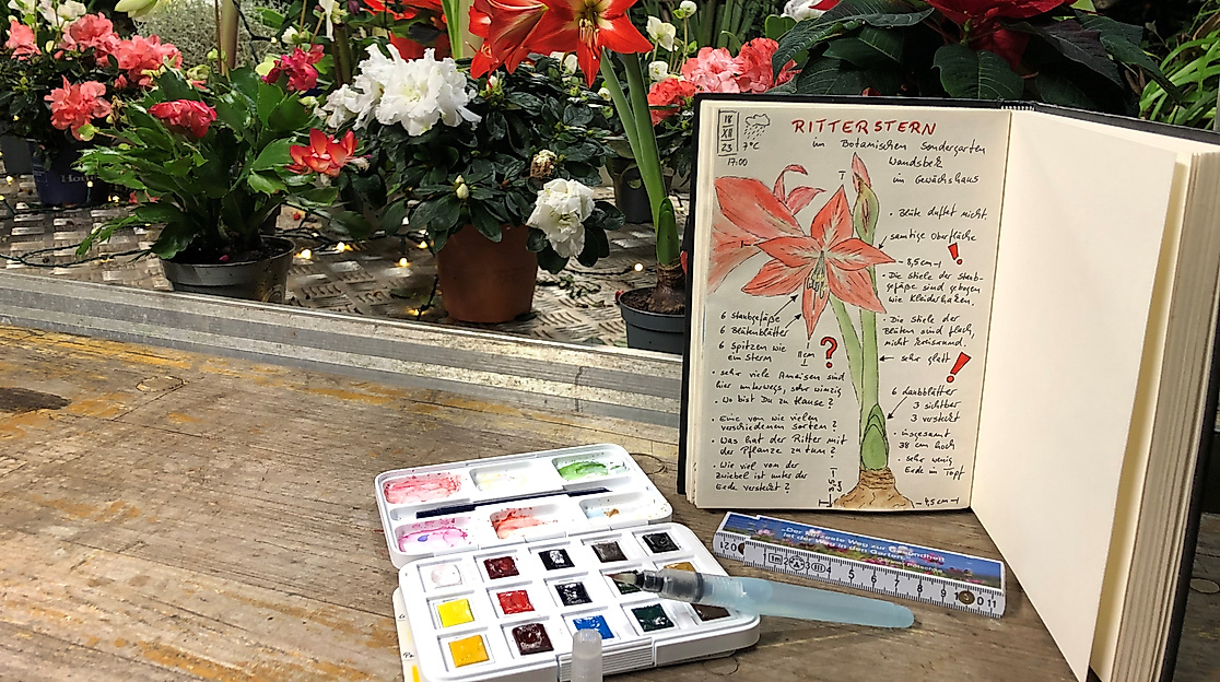 Nature Journaling