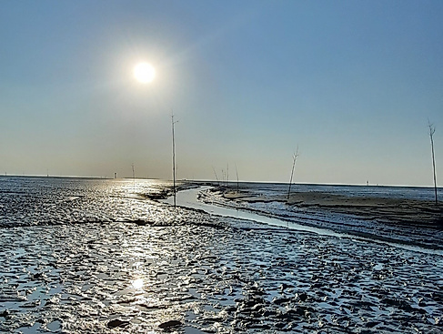 Watterkundung-Wremen