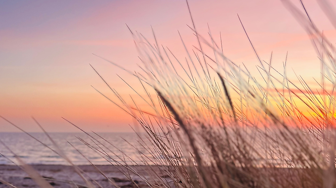 Die Ostsee mit Sonnenaufgang und Dünen in Scharbeutz/ Haffkrug.