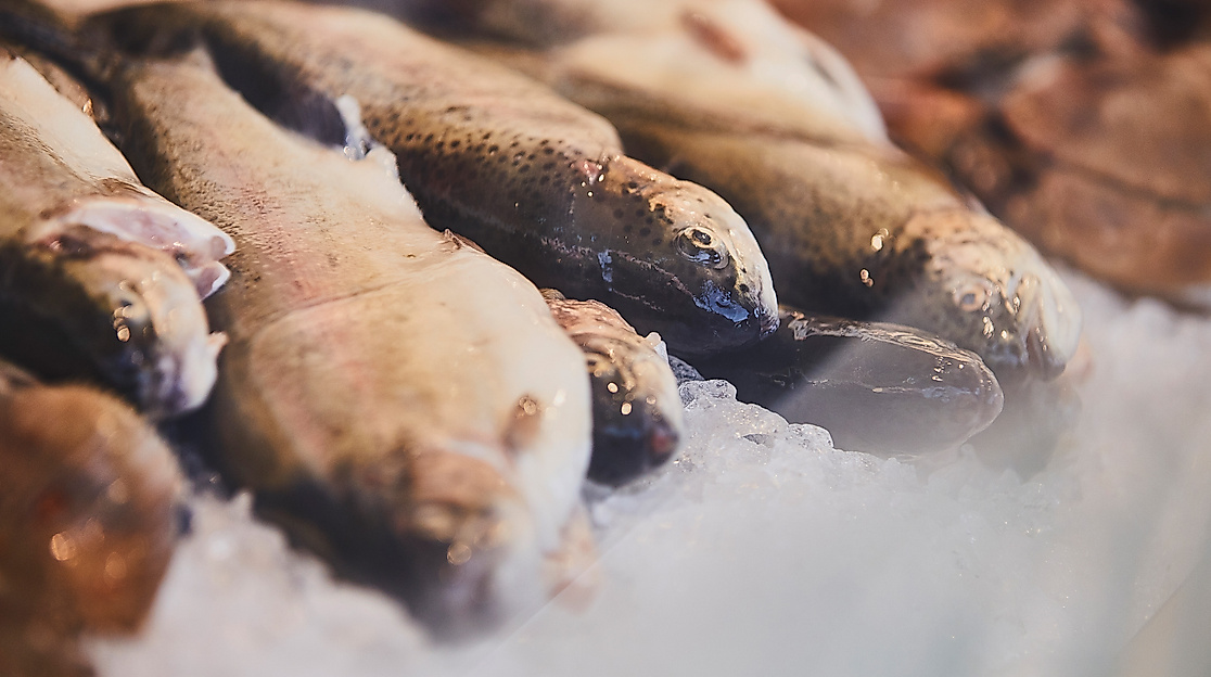 Fischmarkt Hamburg