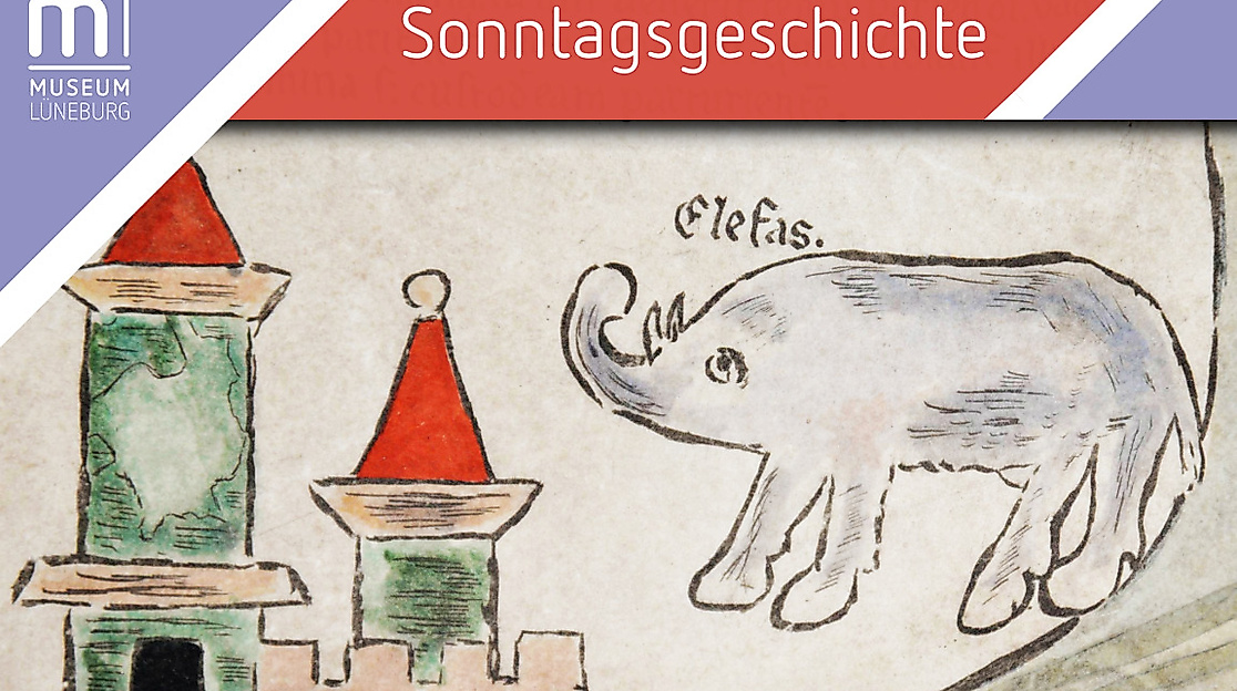 Der Elefant im Porzellanladen – In Redewendungen finden sich viele tierische Elemente