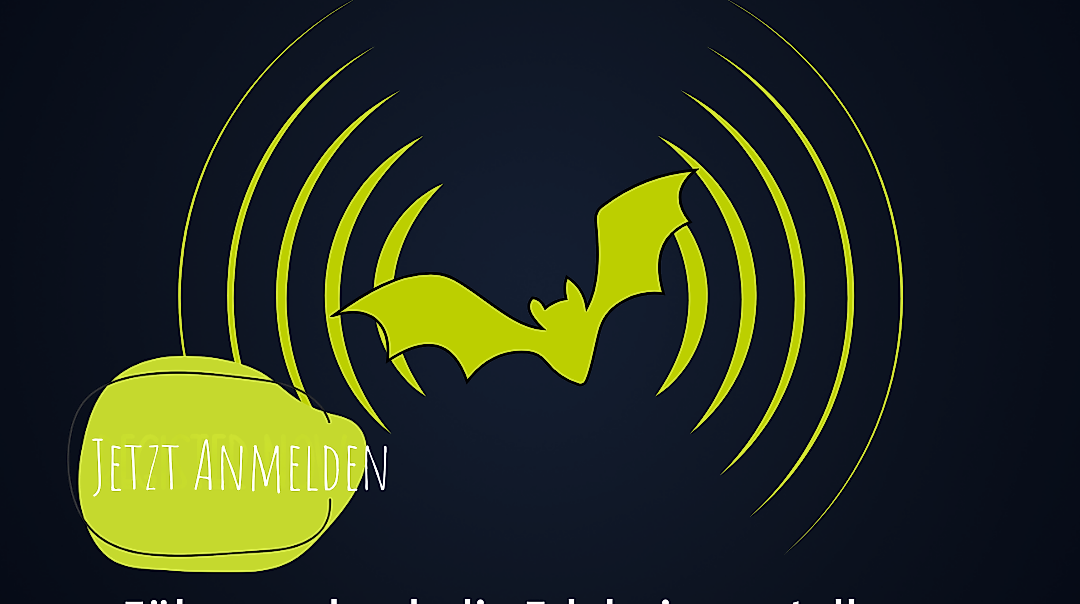 Führung und Nachtwanderung