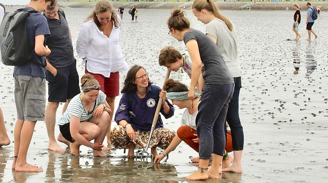 Wattwanderung in Büsum: Weltnaturerbe Wattenmeer