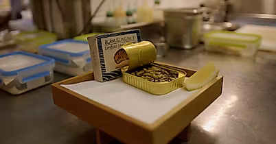 Restaurant Jellyfish