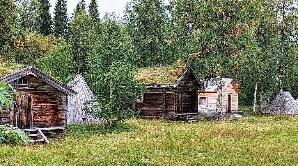 25-12-30 Lappland Wolf Leichsenring