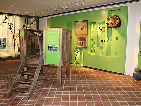 Jagdabteilung in der Dauerausstellung des Ostpreußischen Landesmuseums