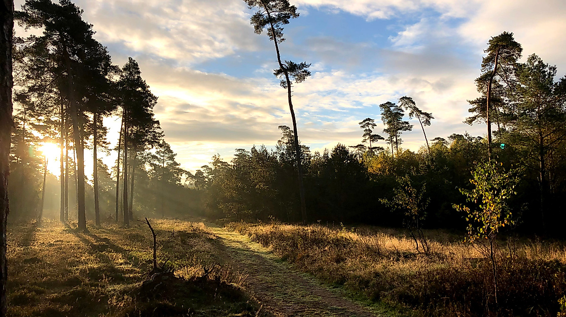 Der renaturierte Sellbek