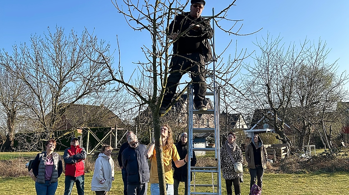 Obstbaumschnittseminar am Rieck Haus