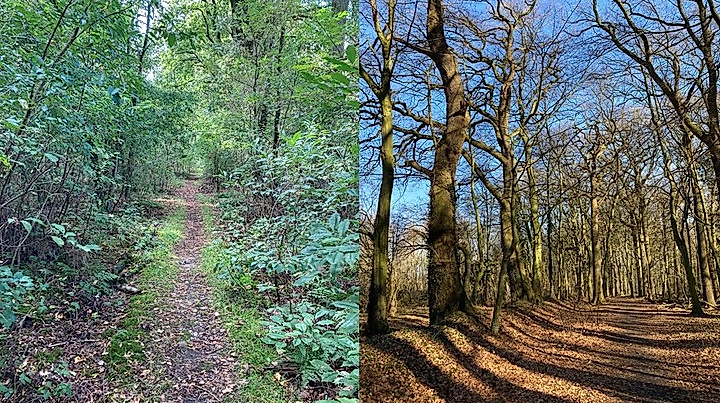Mountainbike-Tour für Anfänger und Amateure