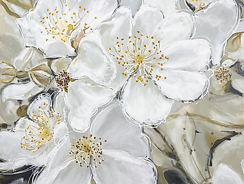 rosamultiflora3_80