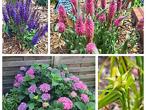 Gartenöffnung Gartenoase Behrendt