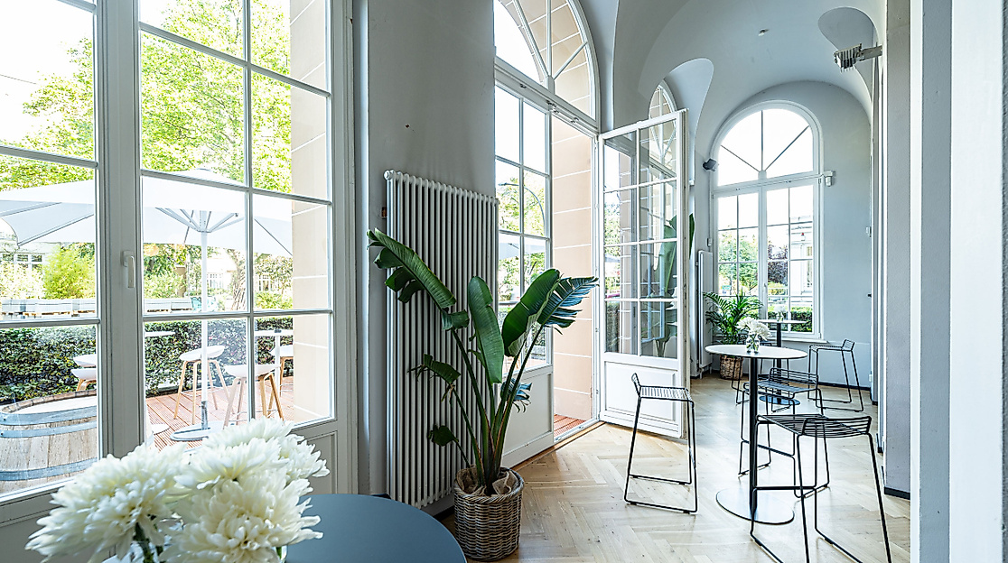 curio-haus-web-5-2500x1500