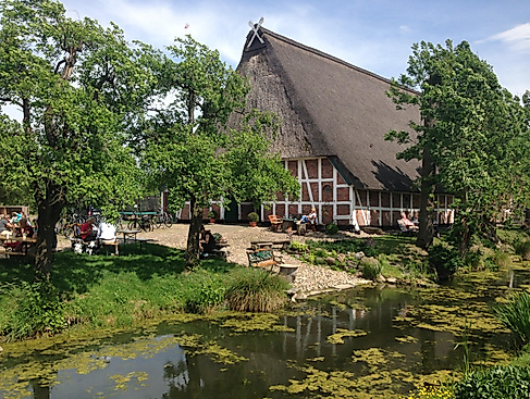 Radtour "Auf den Spuren der Este-Schwäne"