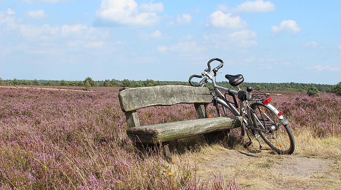 Radtour mit der Bürgermeisterin Meike Moog-Steffens