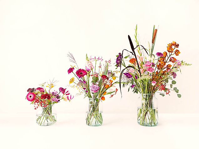 Drei unterschiedlich große Vasen mit bunt gemischten, kreativ arrangierten Blumen auf weißem Hintergrund