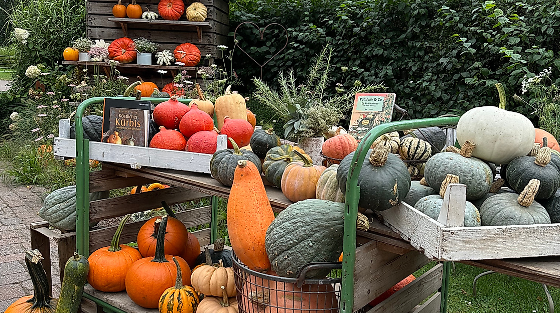 Verkaufsstand_Kürbishof-Kruse-C-kuerbiskruse-IMG_3629