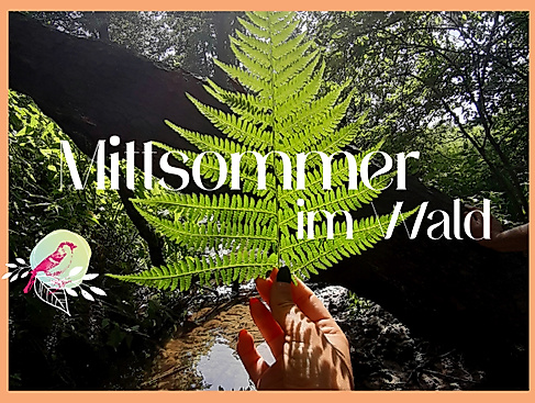 mitsommer in Hamburg