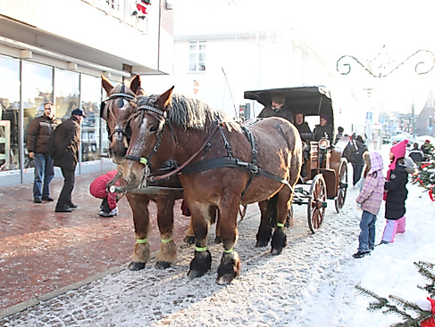 Kutschfahrten durch die Neustädter Innenstadt
