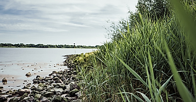 elbstrand_hhlal_c-2017-geheimtipp-hamburg-2