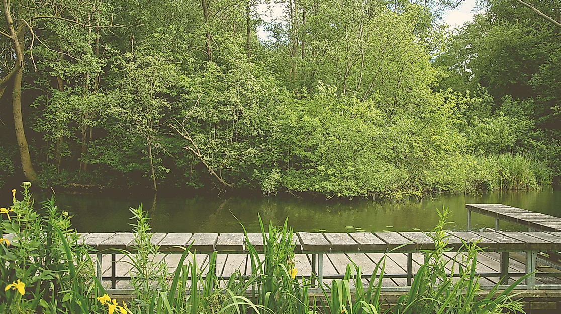 Kurparkführung
