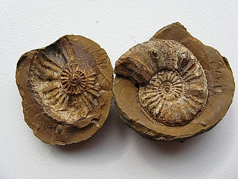 Ostsee erleben - "Best of Baltic"