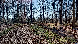 Naturkundliche Wanderung