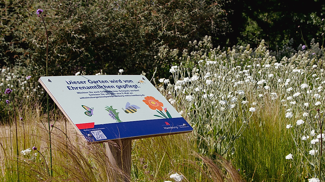 Artenvielfalt Workshop