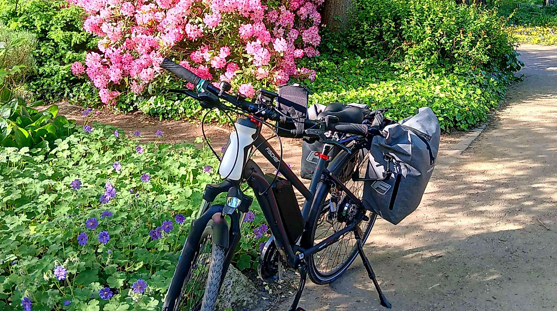 parkblumen