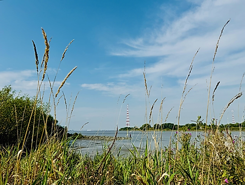 Natur- und Erlebnisführung auf Lühesand