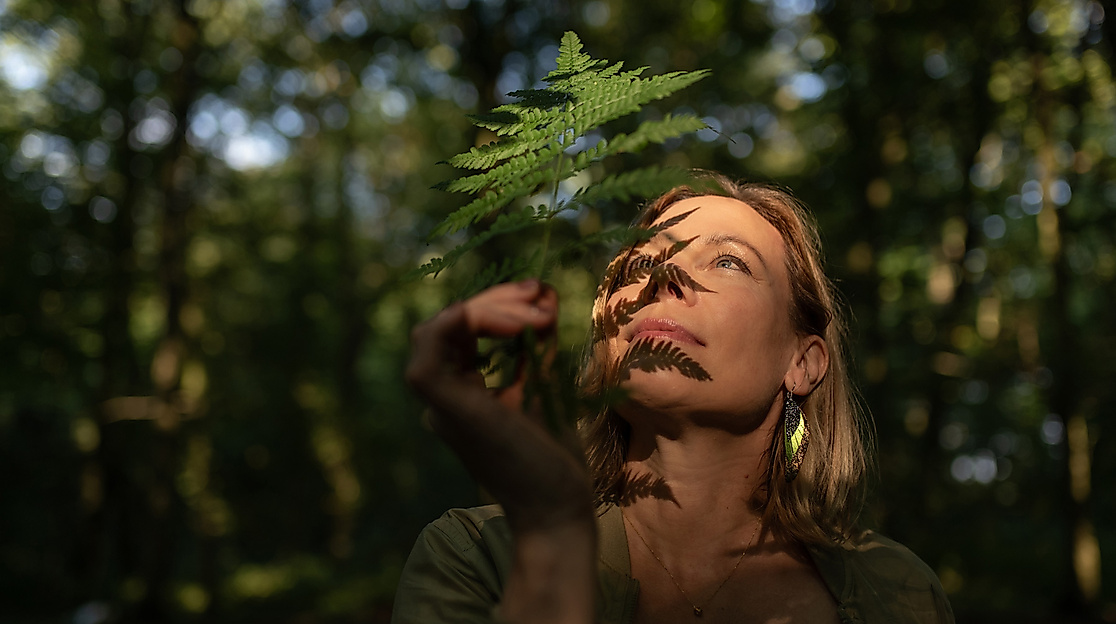 Entspannung, Ruhe und Auftanken im Wald beim Waldbaden erleben.