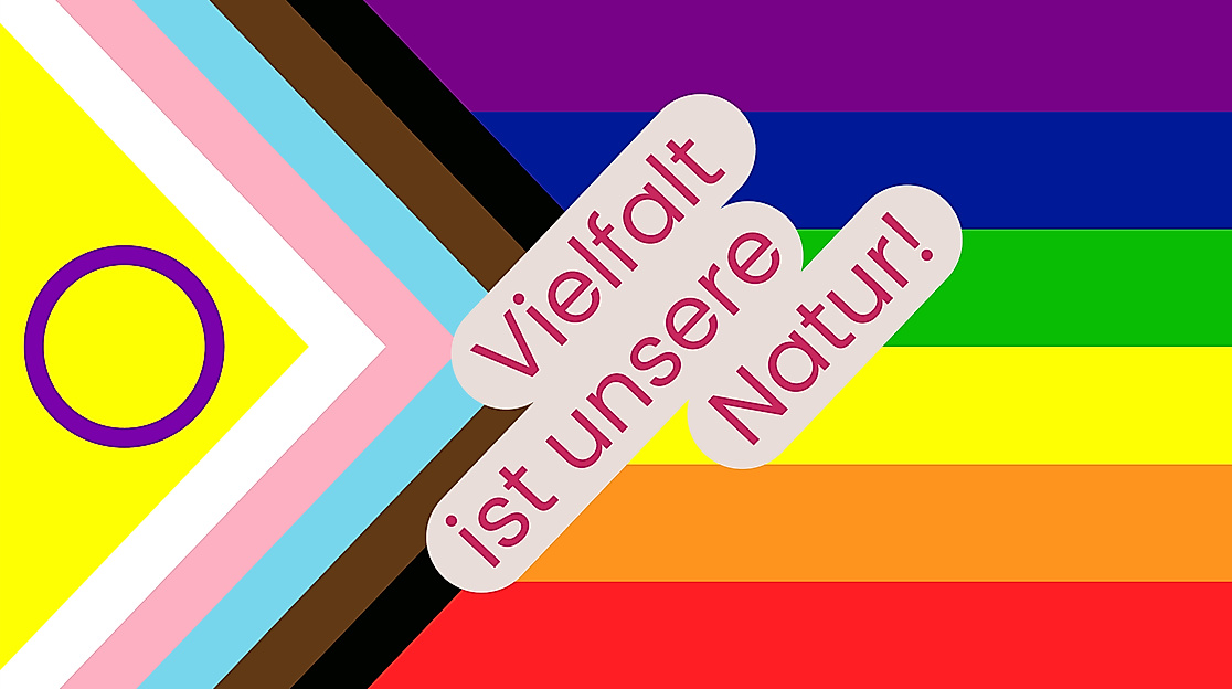 250604_Pride-Webseite